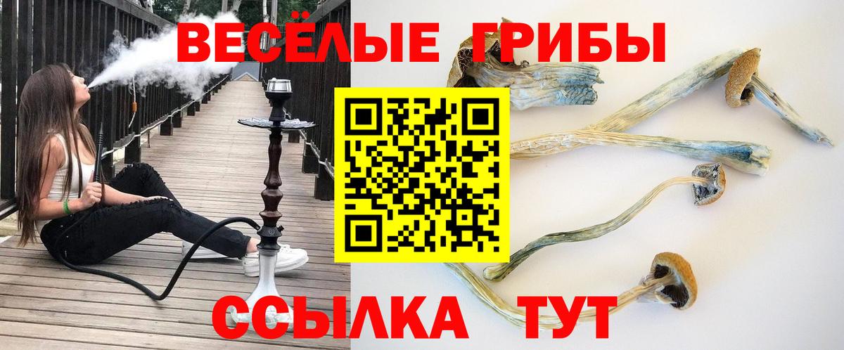 Псилоцибиновые грибы мицелий Заинск